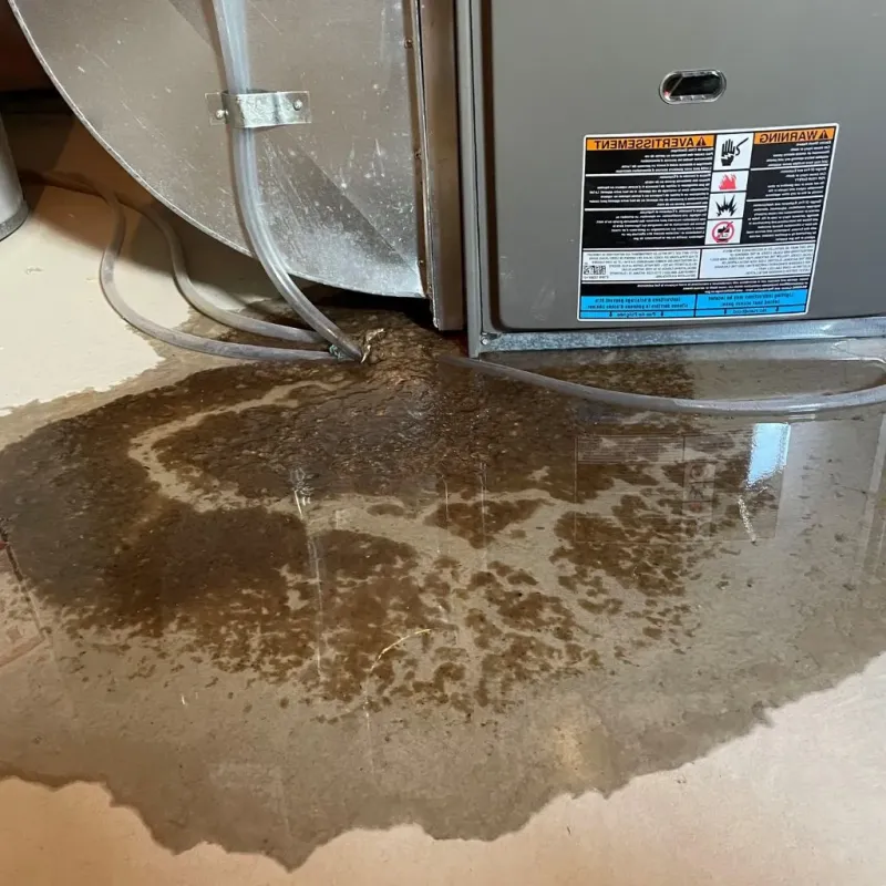 Pipe Burst and Leak Restoration in East Newark, NJ